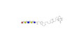 Lacto-N-fucopentaose I (LNFP I) / Blood group H antigen pentaose type 1 linked to biotin (Linker-BT A) - GLY033-1-NAc-sp3-Bt
