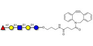 Lacto-N-fucopentaose I...
