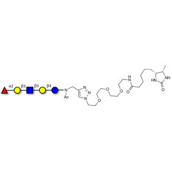 Lacto-N-fucopentaose I (LNFP I) / Blood group H antigen pentaose type 1 linked to desthiobiotin (Linker-DBT-A)