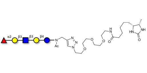 Lacto-N-fucopentaose I (LNFP I) / Blood group H antigen pentaose type 1 linked to desthiobiotin (Linker-DBT-A)