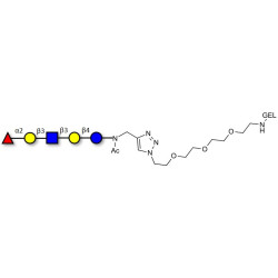 Lacto-N-fucopentaose I (LNFP I) / Blood group H antigen pentaose type 1 grafted on gel for affinity chromatography (Linker-GEL A)