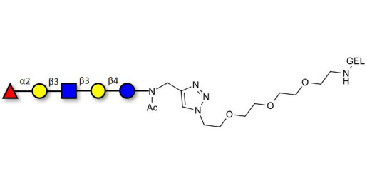 Lacto-N-fucopentaose I (LNFP I) / Blood group H antigen pentaose type 1 grafted on gel for affinity chromatography (Linker-GEL A)