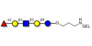 Lacto-N-fucopentaose I...