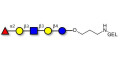 Lacto-N-fucopentaose I (LNFP I) / Blood group H antigen pentaose type 1 grafted on gel for affinity chromatography (Linker-GEL B)