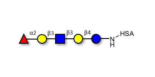 Lacto-N-fucopentaose I (LNFP I) / Blood group H antigen pentaose type 1 grafted on HSA