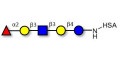 Lacto-N-fucopentaose I (LNFP I) / Blood group H antigen pentaose type 1 grafted on HSA