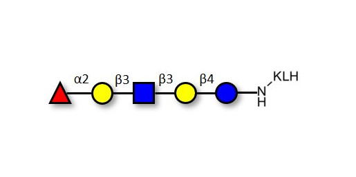 Lacto-N-fucopentaose I (LNFP I) / Blood group H antigen pentaose type 1 grafted on KLH