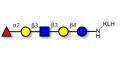 Lacto-N-fucopentaose I (LNFP I) / Blood group H antigen pentaose type 1 grafted on KLH