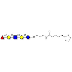 Lacto-N-fucopentaose I (LNFP I) / Blood group H antigen pentaose type 1 with cyclic di-thiol (Linker-LIPO A)