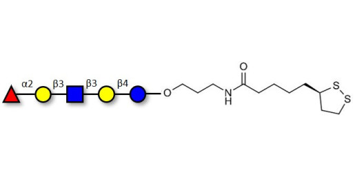 Lacto-N-fucopentaose I (LNFP I) / Blood group H antigen pentaose type 1 with cyclic di-thiol (Linker-LIPO A)