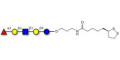 Lacto-N-fucopentaose I (LNFP I) / Blood group H antigen pentaose type 1 with cyclic di-thiol (Linker-LIPO A)