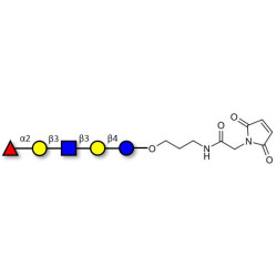 Lacto-N-fucopentaose I (LNFP I) / Blood group H antigen pentaose type 1 linked to maleimide (Linker-MAL A)