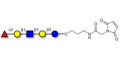 Lacto-N-fucopentaose I (LNFP I) / Blood group H antigen pentaose type 1 linked to maleimide (Linker-MAL A)