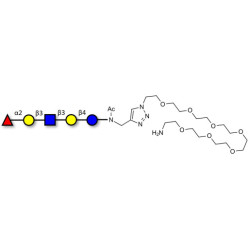 Lacto-N-fucopentaose I (LNFP I) / Blood group H antigen pentaose type 1 with free terminal amine (Linker-NH2 C)