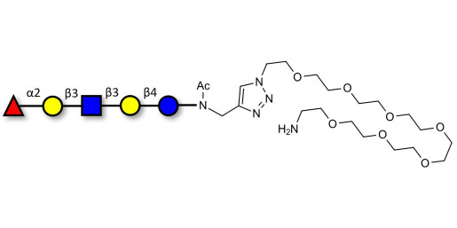 Lacto-N-fucopentaose I (LNFP I) / Blood group H antigen pentaose type 1 with free terminal amine (Linker-NH2 C)