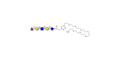Lacto-N-fucopentaose I (LNFP I) / Blood group H antigen pentaose type 1 with free terminal amine (Linker-NH2 C)