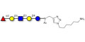 Lacto-N-fucopentaose I (LNFP I) / Blood group H antigen pentaose type 1 with free terminal amine (Linker-NH2 D)