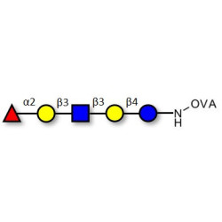 Lacto-N-fucopentaose I (LNFP I) / Blood group H antigen pentaose type 1 grafted on OVA