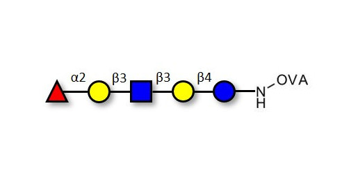 Lacto-N-fucopentaose I (LNFP I) / Blood group H antigen pentaose type 1 grafted on OVA