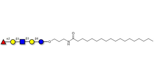 Lacto-N-fucopentaose I (LNFP I) / Blood group H antigen pentaose type 1 with stearic chain (Linker-STEA A)
