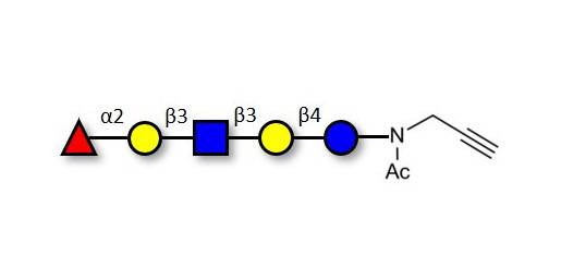 Lacto-N-fucopentaose I (LNFP I) / Blood group H antigen pentaose type 1 with terminal alkyne (Linker-CΞCH A) - GLY033-1-NPR