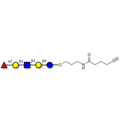 Lacto-N-fucopentaose I (LNFP I) / Blood group H antigen pentaose type 1 with terminal alkyne (Linker-CΞCH C)