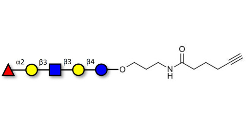 Lacto-N-fucopentaose I (LNFP I) / Blood group H antigen pentaose type 1 with terminal alkyne (Linker-CΞCH C)