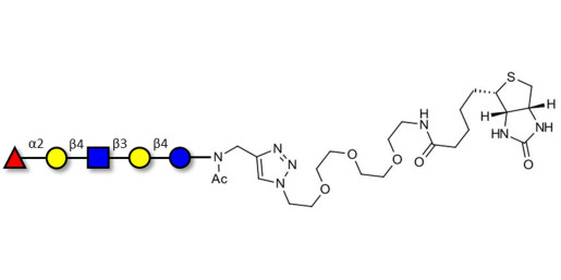 Blood group H antigen pentaose type 2 / Lacto-N-neofucopentaose I (LnNFP I) linked to biotin (Linker-BT A)