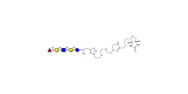 Blood group H antigen...