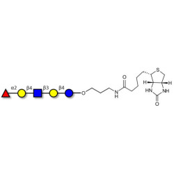 Blood group H antigen pentaose type 2 / Lacto-N-neofucopentaose I (LnNFP I) linked to biotin (Linker-BT B)