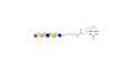 Blood group H antigen pentaose type 2 / Lacto-N-neofucopentaose I (LnNFP I) linked to biotin (Linker-BT B)