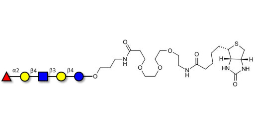 Blood group H antigen pentaose type 2 / Lacto-N-neofucopentaose I (LnNFP I) linked to biotin (Linker-BT C)