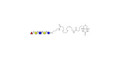 Blood group H antigen pentaose type 2 / Lacto-N-neofucopentaose I (LnNFP I) linked to biotin (Linker-BT C)