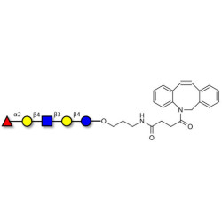 Blood group H antigen pentaose type 2 / Lacto-N-neofucopentaose I (LnNFP I) with DBCO (Linker-DBCO A)
