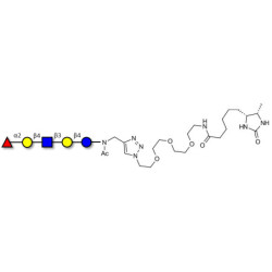 Blood group H antigen pentaose type 2 / Lacto-N-neofucopentaose I (LnNFP I) linked to desthiobiotin (Linker-DBT-A)