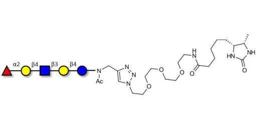 Blood group H antigen pentaose type 2 / Lacto-N-neofucopentaose I (LnNFP I) linked to desthiobiotin (Linker-DBT-A)