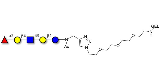 Blood group H antigen pentaose type 2 / Lacto-N-neofucopentaose I (LnNFP I) grafted on gel for affinity chromatography (Linker-GEL A)