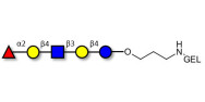 Blood group H antigen...