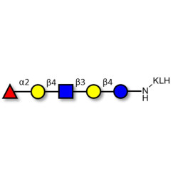 Blood group H antigen pentaose type 2 / Lacto-N-neofucopentaose I (LnNFP I) grafted on KLH
