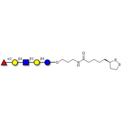 Blood group H antigen pentaose type 2 / Lacto-N-neofucopentaose I (LnNFP I) with cyclic di-thiol (Linker-LIPO A)