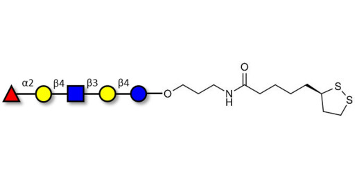 Blood group H antigen pentaose type 2 / Lacto-N-neofucopentaose I (LnNFP I) with cyclic di-thiol (Linker-LIPO A)
