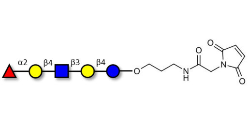 Blood group H antigen pentaose type 2 / Lacto-N-neofucopentaose I (LnNFP I) linked to maleimide (Linker-MAL A)