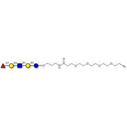 Blood group H antigen pentaose type 2 / Lacto-N-neofucopentaose I (LnNFP I) with terminal azide (Linker-N3 A)