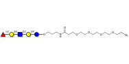 Blood group H antigen...