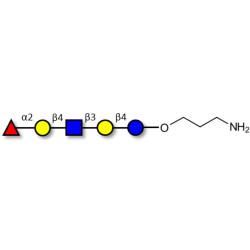 Blood group H antigen pentaose type 2 / Lacto-N-neofucopentaose I (LnNFP I) with free terminal amine (Linker-NH2 A)