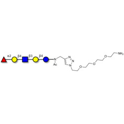 Blood group H antigen pentaose type 2 / Lacto-N-neofucopentaose I (LnNFP I) with free terminal amine (Linker-NH2 B)