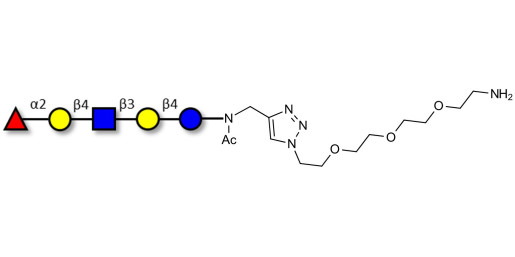 Blood group H antigen pentaose type 2 / Lacto-N-neofucopentaose I (LnNFP I) with free terminal amine (Linker-NH2 B)