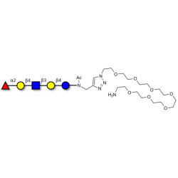 Blood group H antigen pentaose type 2 / Lacto-N-neofucopentaose I (LnNFP I) with free terminal amine (Linker-NH2 C)