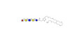 Blood group H antigen pentaose type 2 / Lacto-N-neofucopentaose I (LnNFP I) with free terminal amine (Linker-NH2 C)
