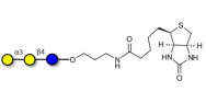 Chitinhexaose DP6 (90% RMN)